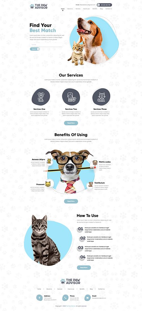 Behance Website Design, Pet Landing Page, Pet Website Design Inspiration, Landing Pages Inspiration, Animal Website Design, Pet Website Design, Pet Graphic Design, Pet Branding Design, Landing Page Ideas