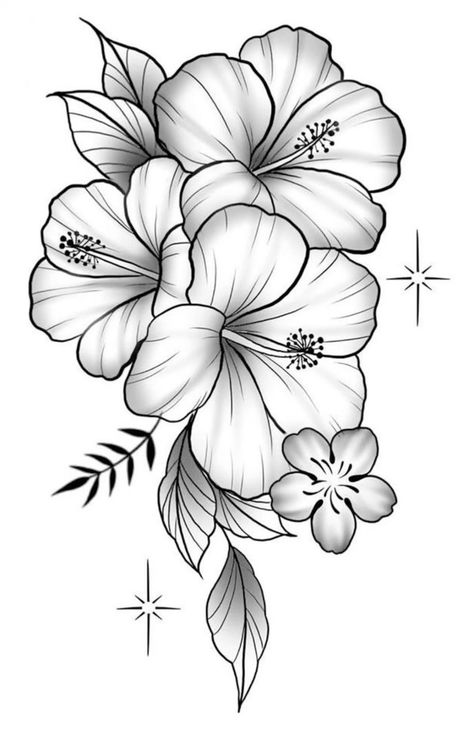 Hibiscus flower drawing