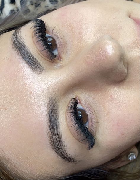 Cat Eye D Curl Lash Extensions, Whisky Cat Eye Lashes, D Curl Cat Eye Lash Extensions, 2023 Lashes, Lash Extensions Hybrid Cat Eye, Light Volume Lash Extensions Cat Eye, Lash Extensions D Curl, Cat Eye Hybrid Lash Extensions, Hybrid Cat Eye Lash Extensions