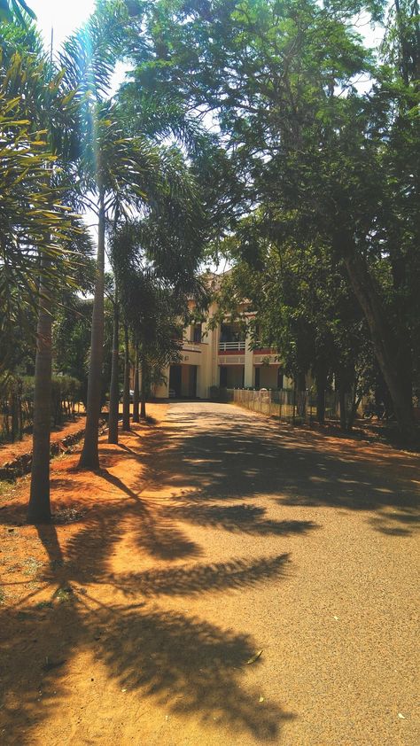 Iit Madras Campus Wallpaper, Iit Madras Aesthetic, Iit Madras, Photography Tricks, Christian College, College Aesthetic, Girly Photography, Photography Tips, Country Roads