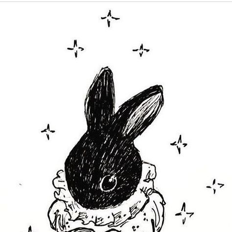 Cat Mallard on Instagram: "Rabbit Rabbit! Happy July! Hope you find a lovely shady spot (or a/c!) to enjoy the weekend! . . . . . #rabbit #bunnylove #rabbitrabbit #inks #whimsicalart #inkdrawing #fae #magical #bunny" Black Rabbit Art, Magical Bunny, Magic Bunny, 2023 Rabbit, Magic Rabbit, Enjoy The Weekend, Watership Down, Rabbit Illustration, Rabbit Rabbit