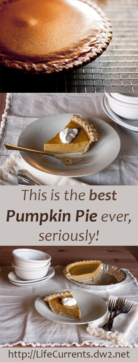 Simply put, this is the best Pumpkin Pie ever, seriously! It’s a little more work, but man, is it worth it! Creamy, thick, rich, yummy… If you only make one thing for the Thanksgiving table, make this Pumpkin Pie! The Best Pumpkin Pie, Best Pumpkin Pie Recipe, Best Pumpkin Pie, Diy Easy Recipes, Pumpkin Pie Recipe, Is It Worth It, Pumpkin Pie Recipes, Best Pumpkin, Pumpkin Dessert