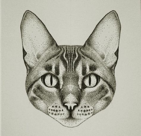 Cat tattoo Cat Head Tattoo, Cat Face Tattoos, Trippy Cat, Shin Tattoo, Head Tattoos, Eye Tattoo, Tattoo Ink, Tattoo Idea, Cat Tattoo