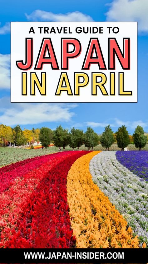 Is April a good month to visit Japan? Here's everything you need to know | Japan Insider Japan In The Spring, Tokyo In April, Japan In May, Japan In March, Japan In April, Traveling To Japan, Japan April, Spring In Japan, Japan Spring