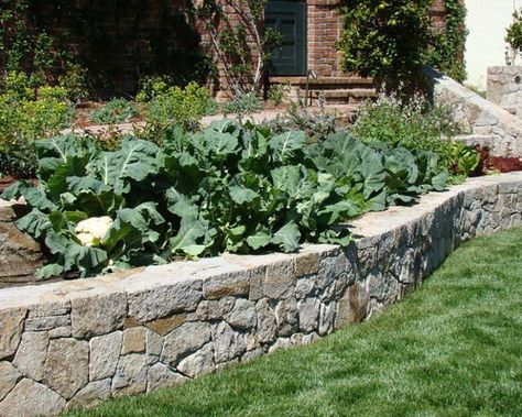 Stone edges and raised beds built with rocks, bricks or decorative concrete stones add charming accents to backyard landscaping and garden design Stone Raised Beds, Mudroom Addition, Stone Flower Beds, Stone Walls Garden, Garden Bed Layout, Stone Wall Design, Diy Raised Garden, Garden Ideas Cheap, Raised Garden Beds Diy