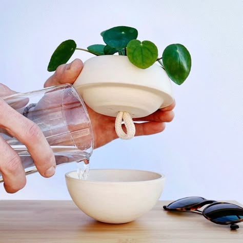 Introducing our cute self watering planter by «CheFigo», proudly made in Italy. Each pot is handcrafted with care. Perfect for indoor use, it simplifies your plant care routine. Elevate your plant collection with this stylish and functional Italian creation. Material: ceramic Size: Width: 4 inches Height: 3.5 inches (other sizes: https://www.etsy.com/it/shop/CheFigoIdea) - self-watering technology - 100% ceramics - made in Italy Notes: It will always be clean around the pot (no water/no soil aro Inch Plant, Watering Pot, Self Watering Pots, Maker Shop, Self Watering Planter, Pottery Shop, Ceramic Pots, Plant Lover Gift, Ceramics Ideas Pottery