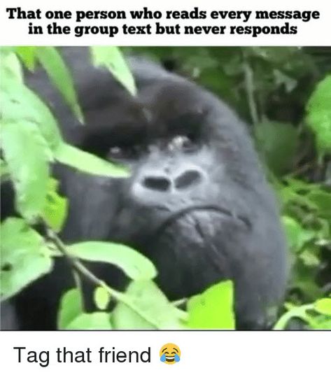 that person who reads every message in the group text but never responds meme Group Text Humor, Freaking Out Meme, Text Back Meme, Left Out Of The Group, Text Message Meme, Group Text, Anne Maria, Meme Show, Feeling Left Out