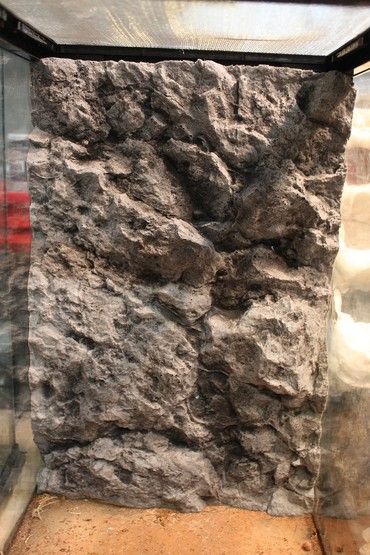 DIY Tutorials Diy Terrarium Background Rock Wall, Reptile Background Diy, Vivarium Background, Plant Cabinet, Paludarium Ideas, Diy Stone Wall, Gecko Enclosure, Crested Gecko Care, Terrarium Inspiration