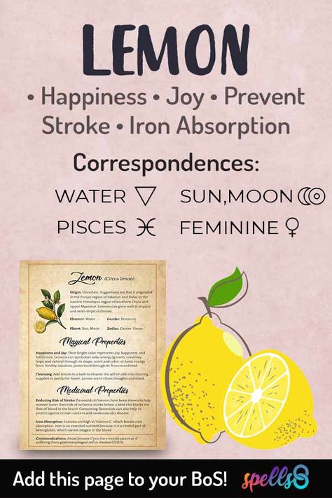 Lemon Witchcraft Uses, Lemons In Witchcraft, Lemon In Witchcraft, Lemon Spiritual Meaning, Lemon Magical Properties, Lemon Witchcraft, Magical Properties Of Lemon, Lemon Magic, Magickal Correspondences