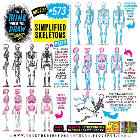 Draw Shoulders, Etherington Brothers, Skeleton Anatomy, Skeleton Drawings, Comic Tutorial, Human Body Anatomy, Book Maker, Human Anatomy Drawing, Human Skeleton