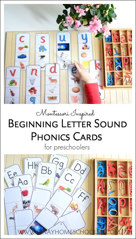 Montessori 3 Part Cards, Montessori Phonics, Children's House, Phonics Cards, Phonics Flashcards, Preschool Language, Montessori Lessons, Baby Montessori, Montessori Homeschool