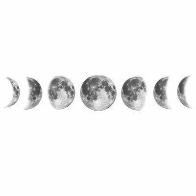 Moon Phases Drawing, Moon Phases Tattoo, Tattoo Line, Moon Tattoo Designs, Tattoos Geometric, Phases Of The Moon, 문신 디자인, Moon Flower, Black And White Aesthetic