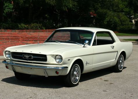 Ford Mustang 1964 1/2 Mustang 1964, Ford Mustang 1964, Old American Cars, Car Man Cave, 1964 Ford, Classic Mustang, Buy Car, Old Fords, Car Ford