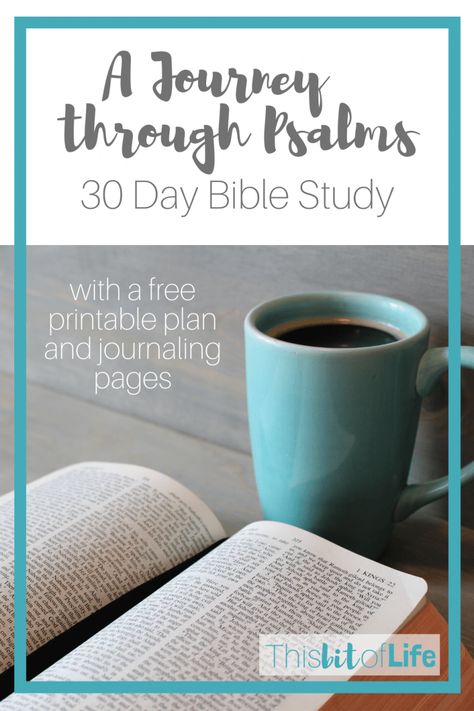 30 Day Bible Study, Study The Bible For Beginners, Bible For Beginners, Application Questions, Prayer Notebook, Inductive Bible Study, Bible Studies For Beginners, Scripture Writing Plans, Study The Bible