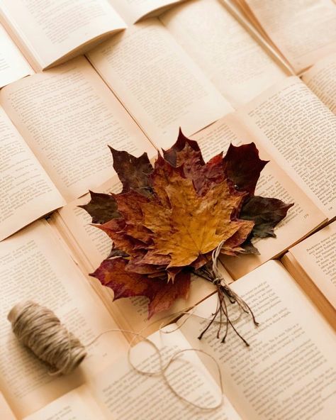 Fall Books, Halloween Donuts, Autumn Actvities, Autumn Leaves Photography, Inspiration Photography, Autumn Photography, Autumn Day, Autumn Fall, Aesthetic Photography