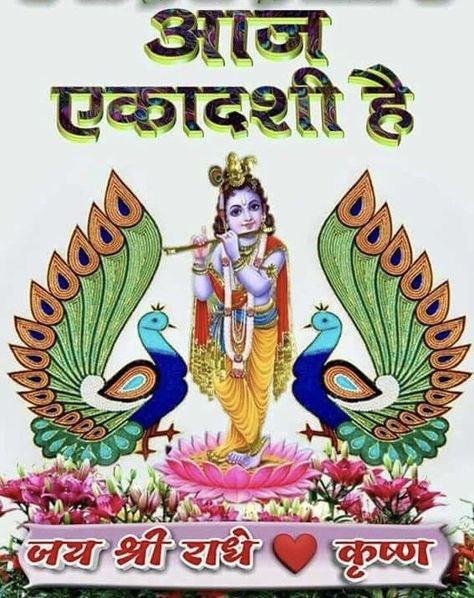 Happy Ekadashi Images, Ekadashi Images, Good Morning Krishna, Good Day Wishes, All Mantra, Shakti Goddess, Bal Krishna, Hindi Good Morning Quotes, Happy Birthday Photos