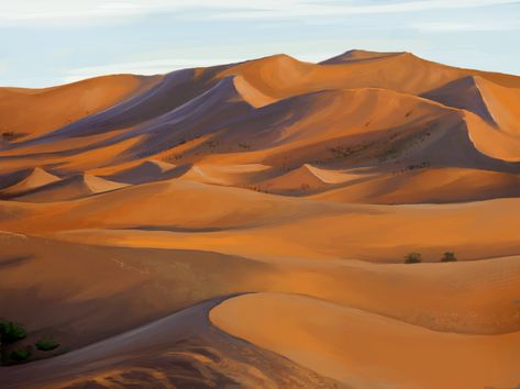 Paint Challenge, Desert Drawing, Desert Landscape Art, Shadow Color, Study Art, Color Study, Egypt Art, Desert Painting, Sahara Desert