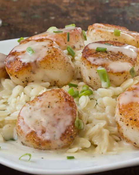 Scallops With Orzo, Scallop Orzo Recipes, Orzo With Scallops, Scallops And Orzo Recipe, Scallop Orzo, Scallops Orzo, Scallops And Orzo, Scallop Recipes Healthy, Seafood Scallops