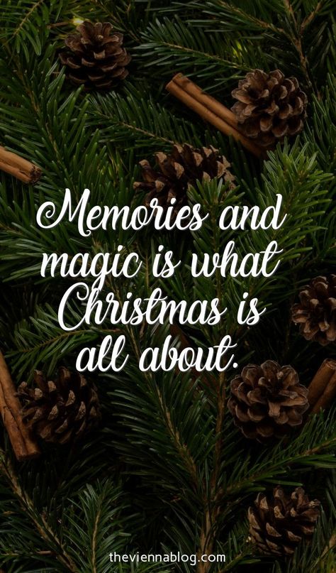 Christmas Qoutes, Best Christmas Quotes, Christmas Verses, Xmas Quotes, Christmas Thoughts, Christmas Card Sayings, Christmas Card Messages, Merry Christmas Quotes, And So It Begins