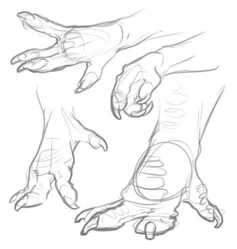 3,983 Likes, 6 Comments - Klara 🐉💤 (@the_meep_lord) on Instagram: “Some dragon paws for #feetsfriday I guess :p #sketch #art #artofinstagram #dragon #drawing” Dragon Paws, Dragon Poses, Dragon Anatomy, Výtvarné Reference, Dragon Sketch, Creature Drawings, Dragon Artwork, Poses References, Dragon Drawing