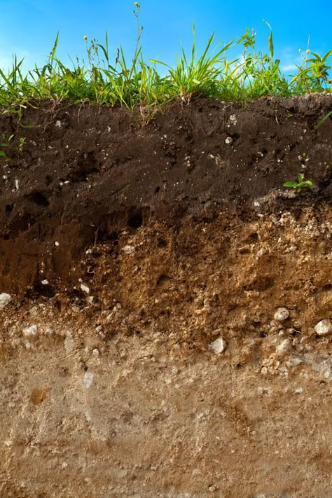 Gardening Basics, Soil Science, Ways To Save Water, Kitchen Gardening, Soil Texture, Organic Kitchen, Mother Earth News, Soil Layers, Organic Gardening Tips