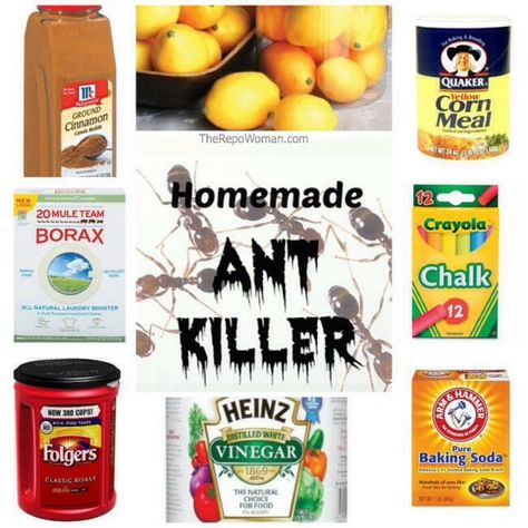 🐜8⃣ Sure Ways To Get Rid Of Ants!🐜 Borax For Ants, Ant Killer Recipe, Homemade Ant Killer, Ant Problem, Kill Ants, Rid Of Ants, Get Rid Of Ants, Ant Killer, Natural Laundry