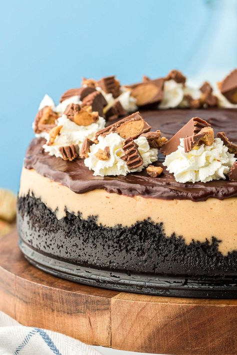 Cheesecake And Chocolate Cake, Peanut Butter Marshmallow Cheesecake, Milky Way Cheesecake, French Silk Cheesecake, Peanut Butter Brownie Cheesecake, Condensed Milk Cheesecake Recipes, Peanut Butter Oreo Cheesecake, Peanut Butter Chocolate Cheesecake, Chocolate Ganache Topping