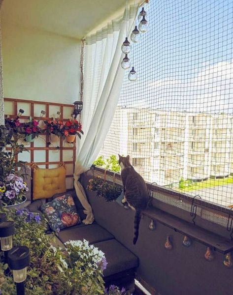 Cat Friendly Balcony, Klein Balkon Decor, Apartment String Lights, Ideas Terraza, Small Apartment Balcony Ideas, Balkon Decor, Balcony Ideas Indian, Balcony Design Ideas, Beautiful Terrariums