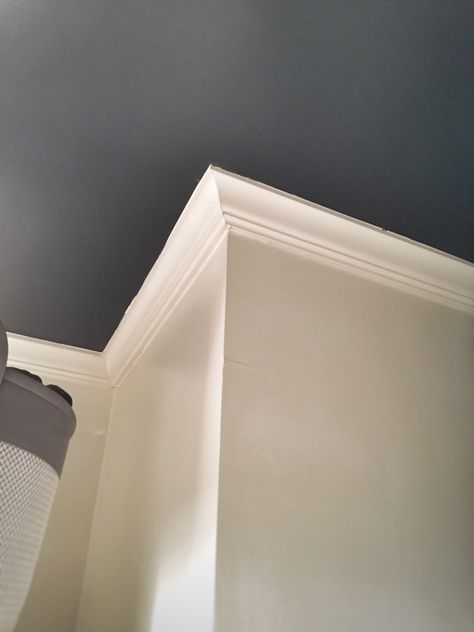 The power of painted ceilings Dark Room Ceiling Color, Painting Coved Ceilings, Black Ceiling Grey Walls Bedroom, Metallic Painted Ceiling, Dark Colored Ceiling Ideas, Basement Wall Color With Black Ceiling, Dark Painted Ceiling Dining Room, Green Painted Ceiling Bedroom, Cove Ceiling Paint Ideas