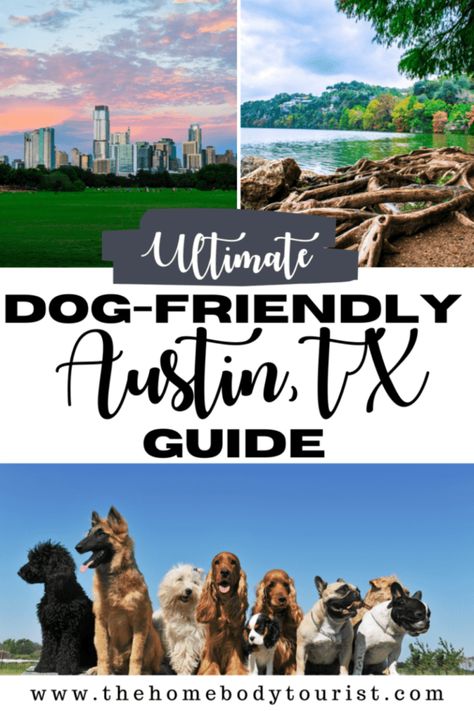 Dog-Friendly Guide to Austin, TX - The Homebody Tourist Visiting Austin Texas, Dog Restaurant, Things To Do In Austin, Visit Austin, Texas Roadtrip, Bucket List Vacations, Summer Getaway, Dog Travel, Dog Friendly