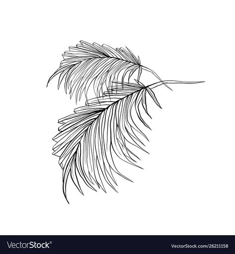 Coconut Leaves Drawing, Coconut Leaf Drawing, Palm Leaves Outline, Tropical Leaves Outline, Leaves Outline Drawing, Drawing Jungle, Leaves Outline, Jungle Rainforest, Jungle Drawing