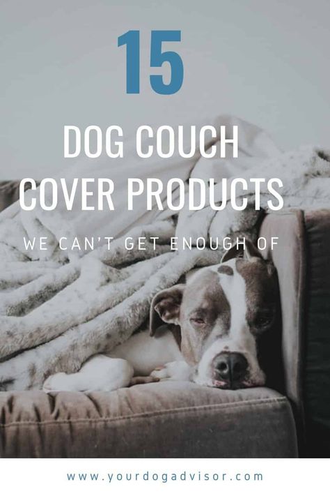 Protect Couch From Dog, Couch Cover For Dogs, Dog Blanket For Couch, Protect Furniture From Dogs, Dog Proof Couch, Couch Blanket Cover, Sofa Protector Ideas, Best Couch For Dog Owners, Dog Friendly Couch