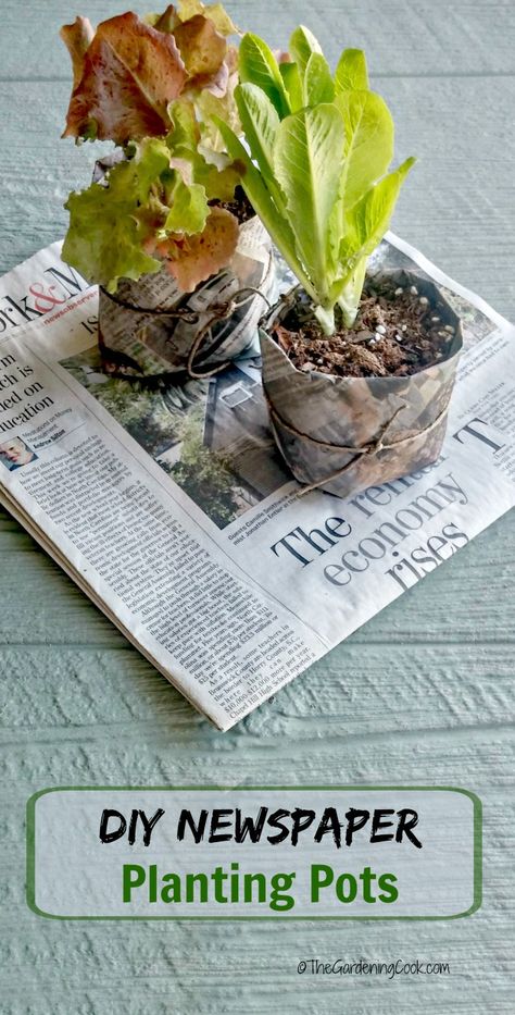 Small Plant Pots, Diy Newspaper, Paper Pot, Seed Pots, Planting Pots, Gardening 101, Organic Seeds, Garden Tips, Veggie Garden