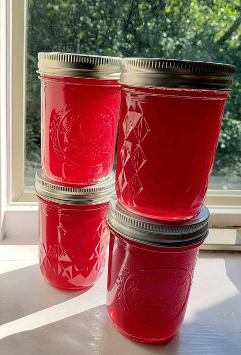 Small Batch Scuppernong Grape Jelly - Grits and Gouda Muscadine Jelly Recipe Small Batch, Grape Jelly Recipe No Pectin, Canning Jelly, Muscadine Jelly, Blueberry Jam Recipe, Strawberry Freezer Jam, Easy Canning, Grape Jam, Grape Recipes