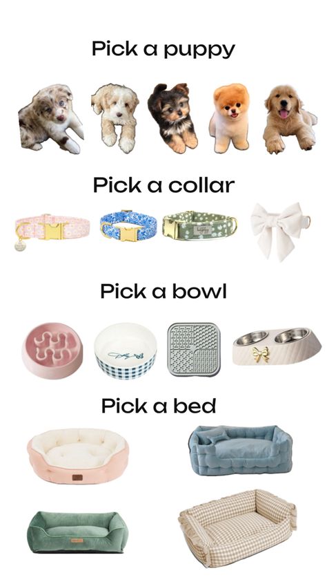 Cute Stuff For Dogs, Dog Age Chart, Stuff For Dogs, Pet Aesthetic, Puppy Items, New Puppy Checklist, Making A Gift Basket, Puppy Checklist, Cute Dog Toys