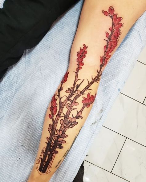 Desert Wildflower Tattoo, Sonoran Desert Tattoo, Creosote Tattoo, Ocotillo Tattoo, Desert Flower Tattoo, Southwest Tattoo, Tucson Tattoo, Desert Tattoo, Plant Tattoos