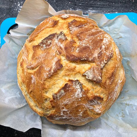 Crusty Bread Recipe Dutch Oven, Easy Dutch Oven Bread, Fastest Bread Recipe, Artesian Bread, Fast Bread, Crusty Bread Recipe, Oven Bread, Dutch Oven Bread, Homemade Bread Easy