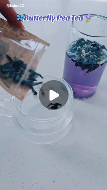 Lauren Gallegos on Instagram: "Butterfly Pea Flower has so many great benefits.

🪻The flowers are rich in anti-inflammatory and antimicrobial compounds. Butterfly pea flower has anti-glycation properties, a potent ally to slow down skin ageing.

Results may vary from person to person. Do your own research on butterfly pea flower.

Check out the cool color it turns when you add lemon! 

🪻🌿👉 For more information on my favorite butterfly pea flower tea go to the link in my bio under my photo or comment "TEA"

#antiagingtea #collagenboost #butterflypea #herbaltea" Anti Aging Tea, Pea Flower Tea, Butterfly Pea Tea, Butterfly Pea Flower Tea, Butterfly Pea Flower, Butterfly Pea, Pea Flower, Flower Tea, Herbal Tea