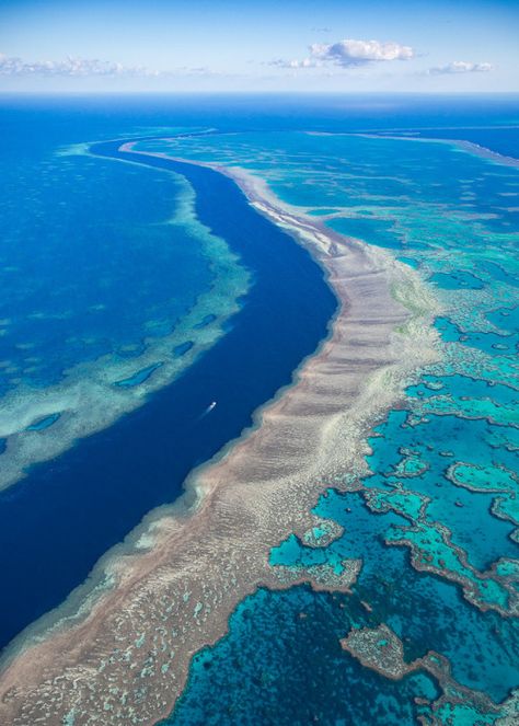 Barrier Reef Australia, The Great Barrier Reef, Coral Reefs, Great Barrier Reef, Australia Travel, Pretty Places, Dream Destinations, Travel Insurance, Land Scape