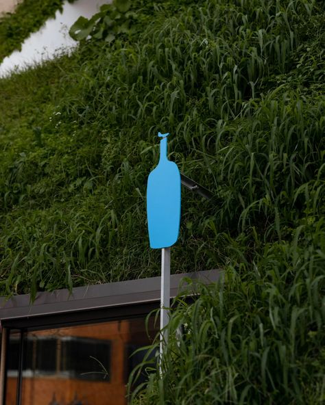 Keiji Ashizawa designs Blue Bottle Coffee shop in "cave-like space" Japanese Entrance, Keiji Ashizawa, Coffee Signage, Bottle Logo, Blue Bottle Coffee, Wayfinding Design, Warm Colour Palette, Retail Store Design, Blue Bottle