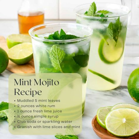 The best mint mojito should have a vibrant green color, a delightful aroma of mint and lime, and a balanced taste of sweet and tangy flavors, with a refreshing effervescence from the club soda. It's the perfect cocktail to enjoy on a warm summer day or any time you want a taste of the tropics! Easy Cocktail Recipe | Mojito Recipes | Cocktail Recipes | Cocktail | Summer Drinks Cocktail Recipes Mojito, Mint Lime Cocktail, Vodka Mojito Recipe, Mint Mojito Recipe, Lime Cocktail Recipes, Easy Mojito, Mojitos Recipe, Easy Mojito Recipe, Vodka Mojito