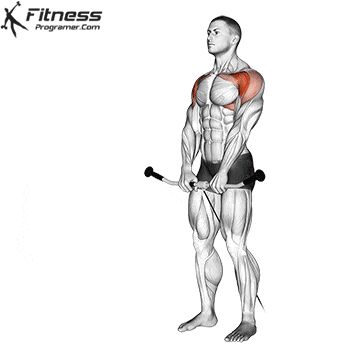 Dumbbell Back Workout, Muscle Booster, Standing Calf Raise, Captains Chair, Free Workout Plans, Best Shoulder Workout, Biceps Brachii, Cable Workout, Shoulder Exercises