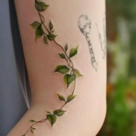 Ivy Back Tattoo, Chakra Colours, Ivy Tattoo, Green Tattoos, Vine Tattoo, Koi Tattoo, Intricate Tattoo, Vine Tattoos, Ornamental Tattoo