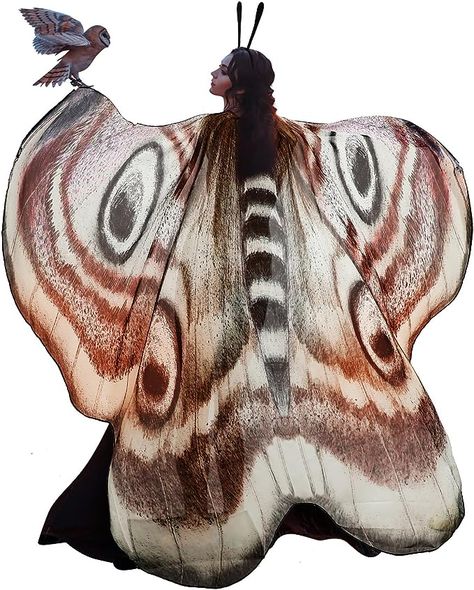 Amazon.com: 2 Pcs Halloween Butterfly Wings Butterfly Shawl Moth Wings Moth Cape Butterfly Costume Accessory with Headband for Women Girl (Classic Style) : Clothing, Shoes & Jewelry Moth Antenna, Moth Wings Costume, Moth Cape, Bird Wings Costume, Halloween Butterfly, Antenna Headband, Butterfly Shawl, Butterfly Wings Costume, Wings Butterfly