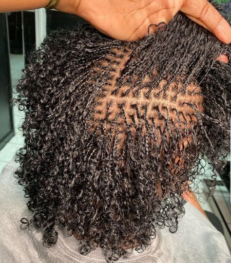 Mirco Twist, Microlocs Braids, Graduation Braids, Braidlocs Journey, Mirco Locs, Micro Braids Human Hair, Microloc Journey, Micro Locks, Mini Twists Natural Hair