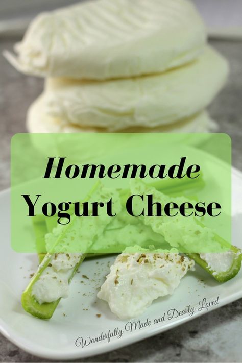 Yogurt Homemade, Cheese Recipes Homemade, Yogurt Cheese, Cheese Making Recipes, Thm Recipes, Homemade Yogurt, Toddler Food, Homemade Cheese, Wonderfully Made