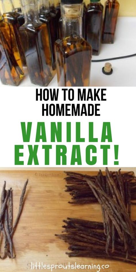 How To Make Homemade Vanilla Extract, Traditional Homemaking, Homemade Extracts, Diy Extracts, Make Vanilla Extract, Vanilla Extract Recipe, Preserving Foods, Homemade Vanilla Extract, Homemade Syrup