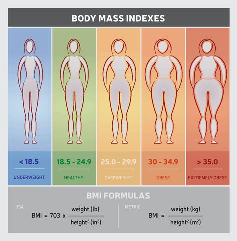 Body Fat Percentage Chart, Ideal Weight Chart, Weight Charts For Women, Low Thyroid Remedies, Thyroid Remedies, Weight Charts, Body Fat Percentage, Burn Stomach Fat, Healthy Body Weight