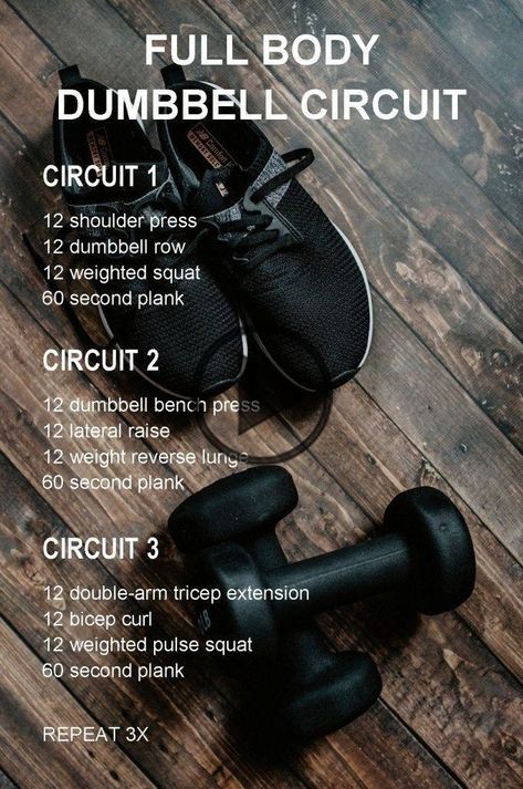 Full Body Dumbbell, Hiit Workout Videos, Full Body Dumbbell Workout, Workout Hiit, Dumbell Workout, Interval Workout, Tabata Workouts, Major Muscles, Circuit Workout