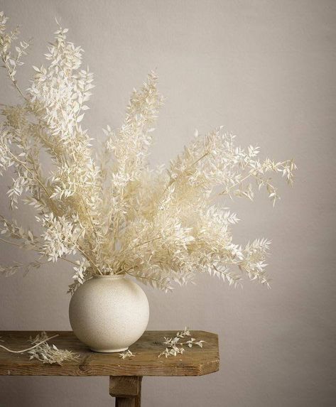 Bleached Italian Ruscus, Diy Dried Flower Arrangement, Dried Floral Decor, Italian Ruscus, Dry Plants, Dry Flowers, Dried Floral, Dried Flower Arrangements, Floral Centerpieces